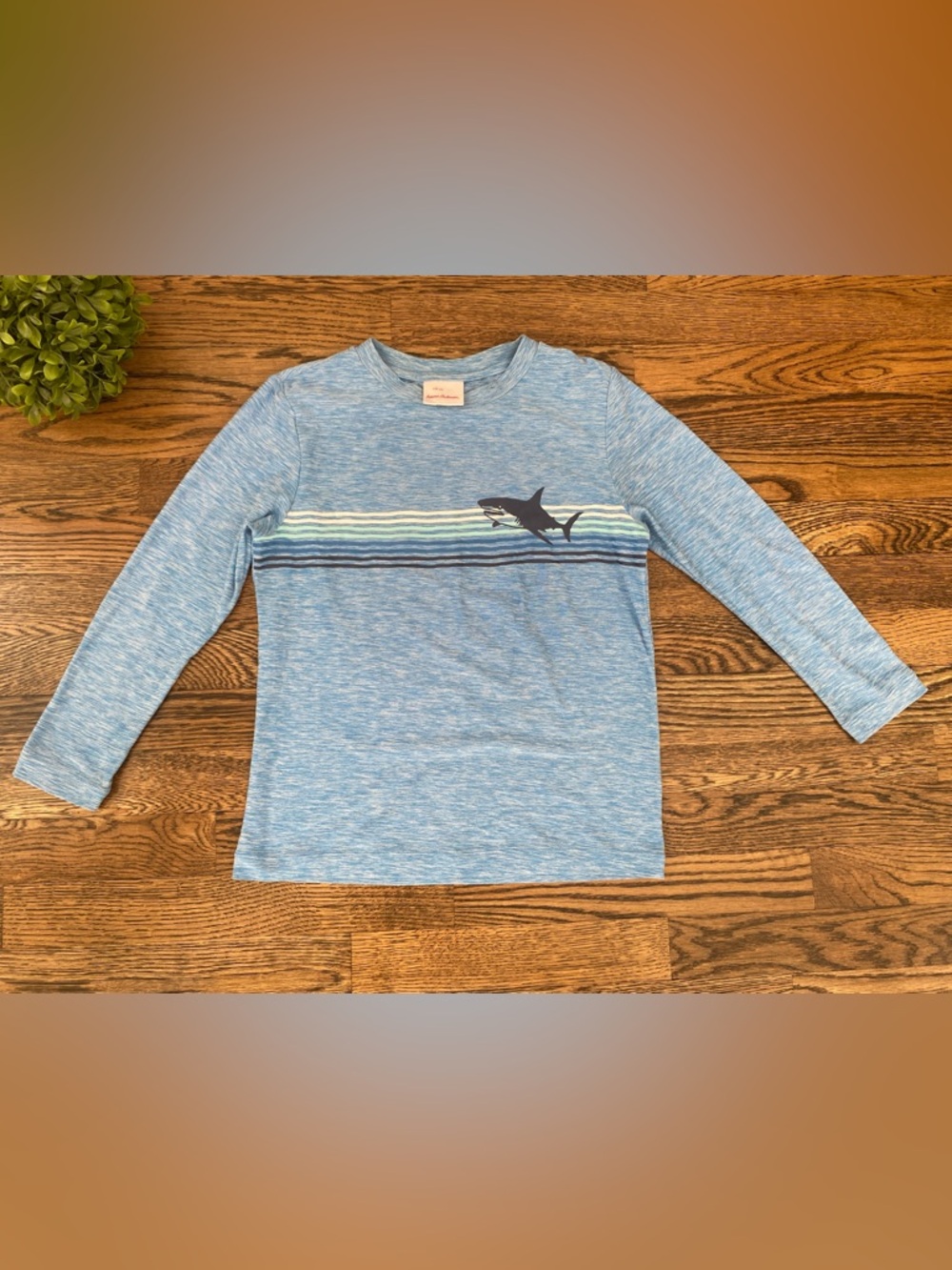Hanna Andersson Rash Guard Sz 5